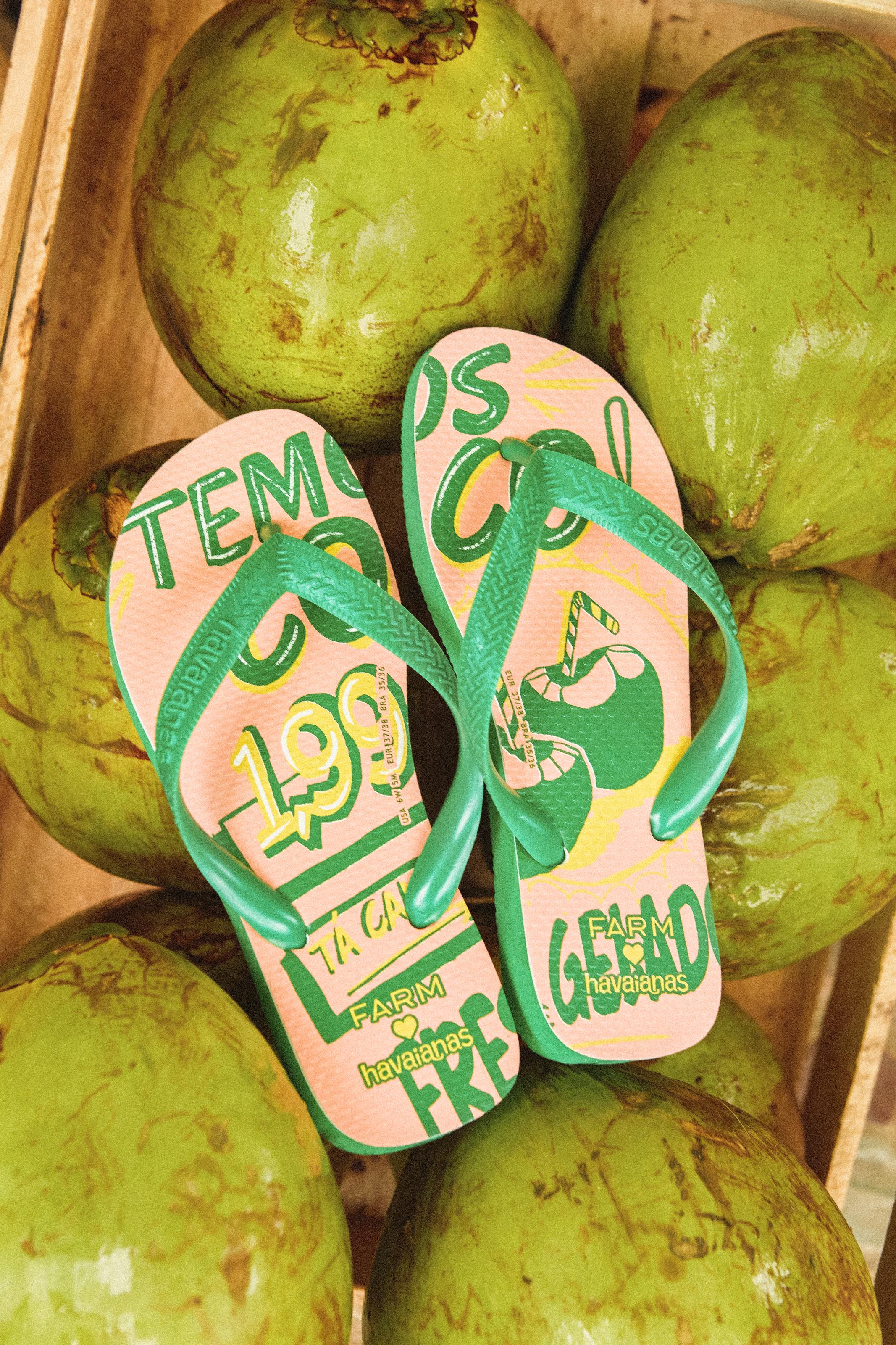 Havaianas Estampadas Temos Coco