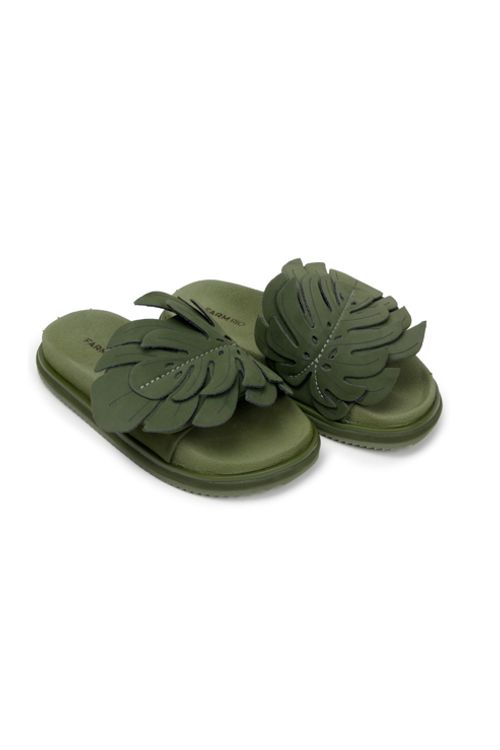 336428_1410_1-SAND-SLIDE-MONSTERA