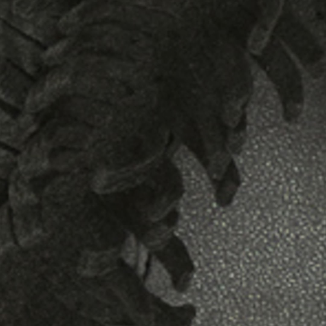 347565_0013_10-RASTEIRA-POMPOM