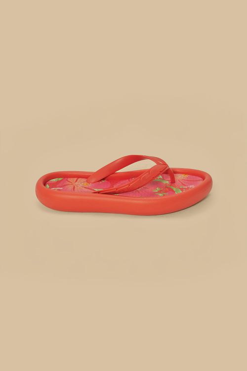 340849_47096_1-CHINELO-CANOA-ESTAMPADO