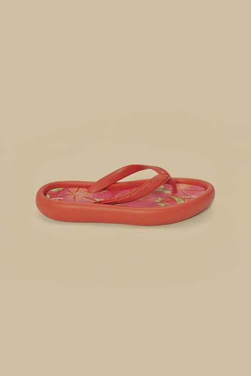 340849_47096_1-CHINELO-CANOA-ESTAMPADO