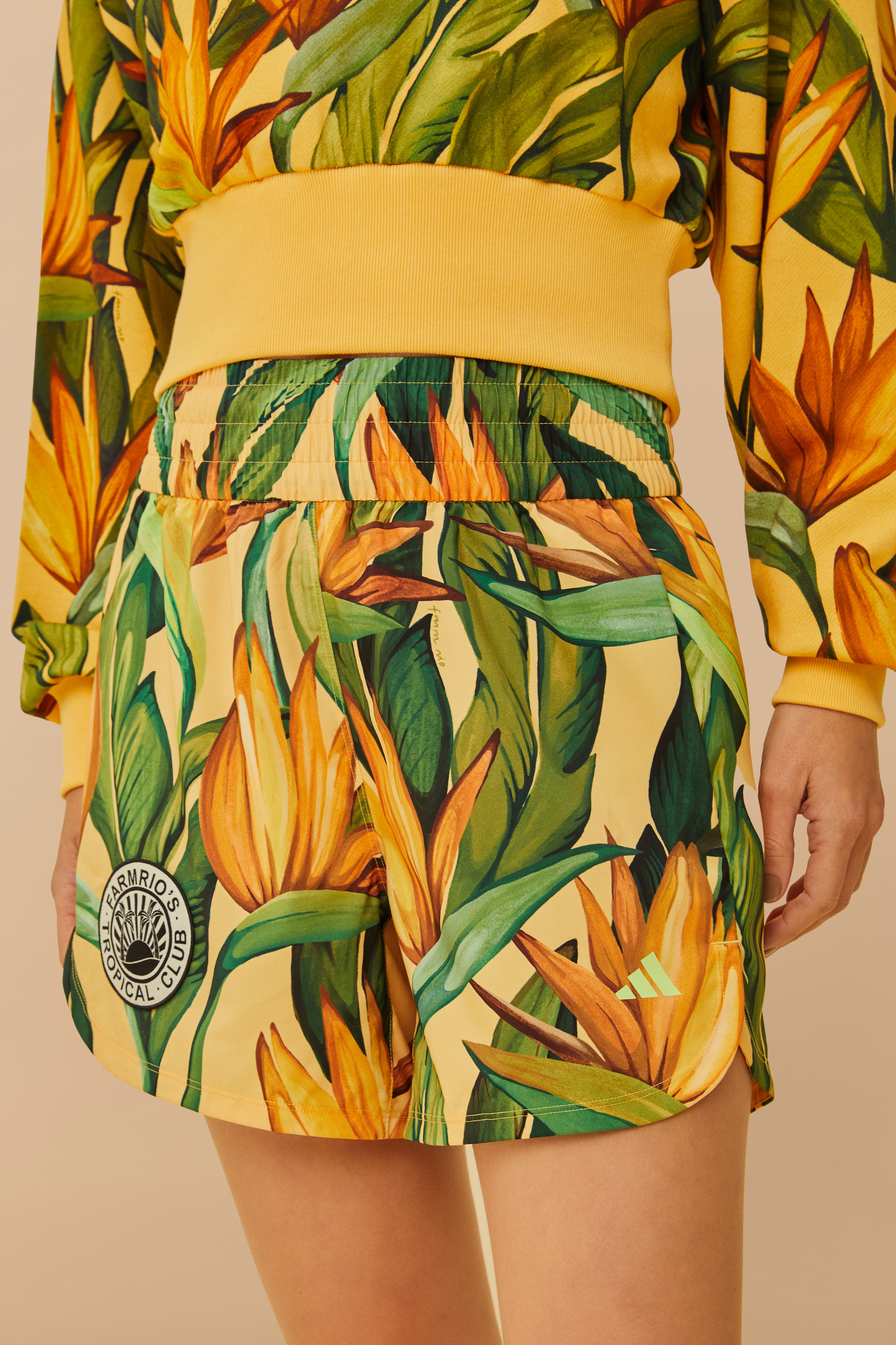 Short Adidas Bird Of Paradise