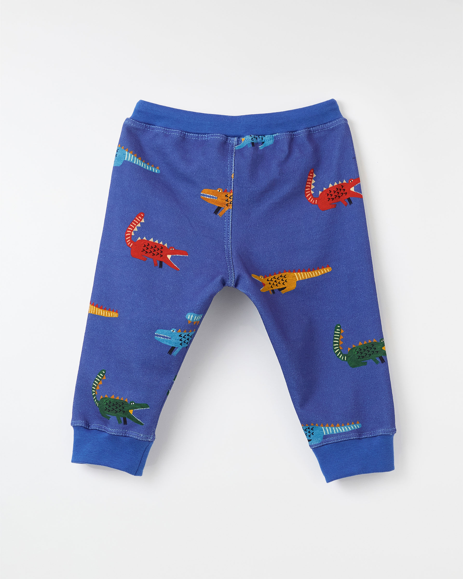 Est Jacassaurinho Fundo_Azul Piracema - 6M