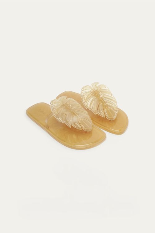 353033_016_2-RASTEIRA-MONSTERA-JELLY