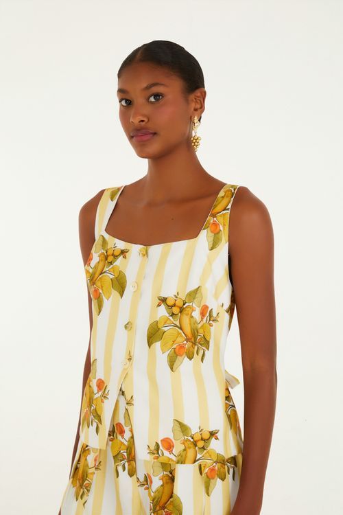 347536_52758_1-COLETE-PASSARO-CHIC