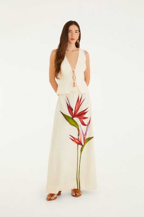 346234_52741_1-SAIA-MAXI-ESTRELICIA-E
