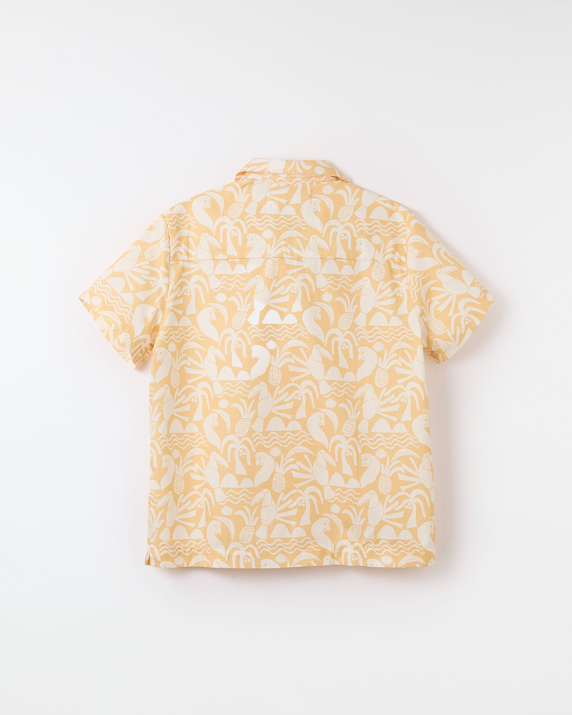 Camisa Azularia