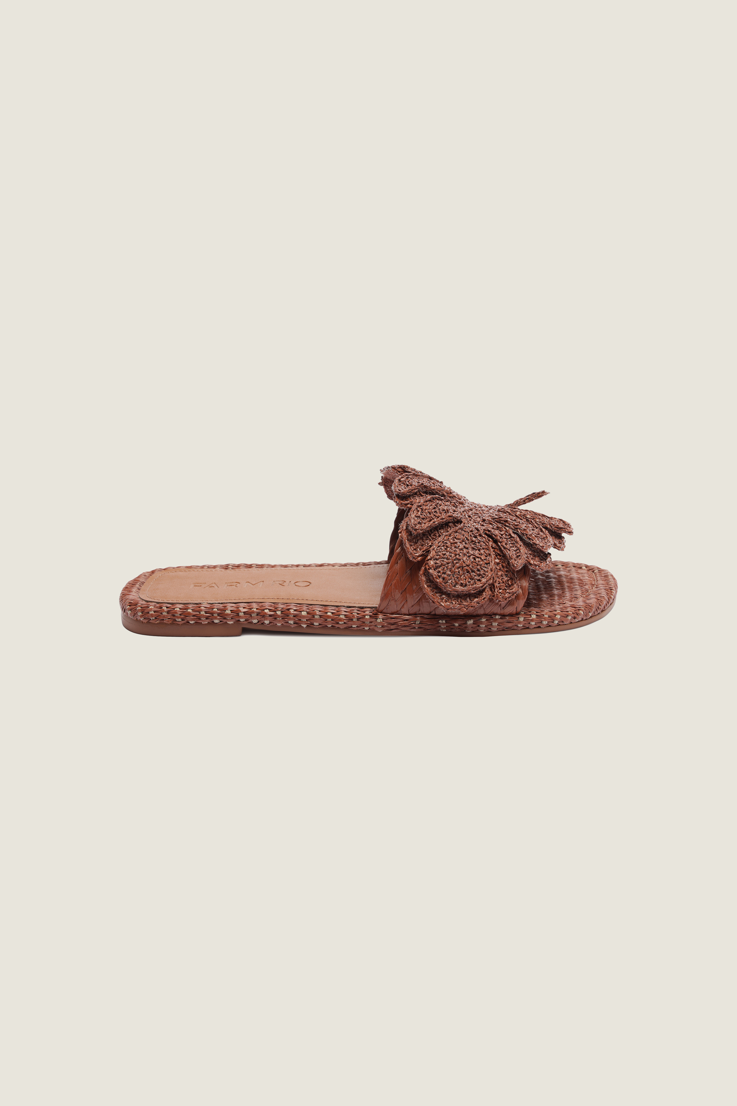 Slide Monstera Rfia