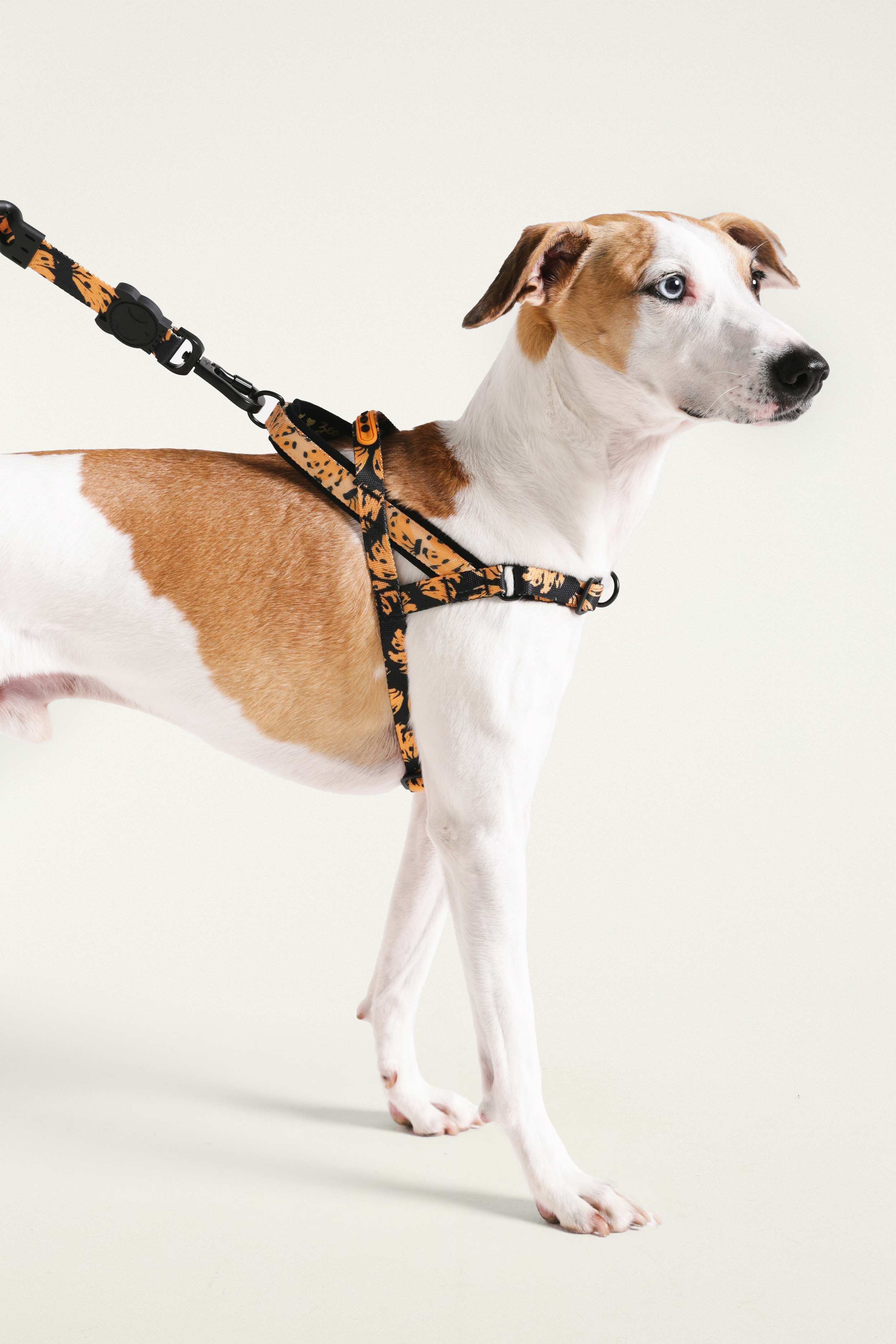 Peitoral Softwalk Farm Zee Dog Bossa Banana