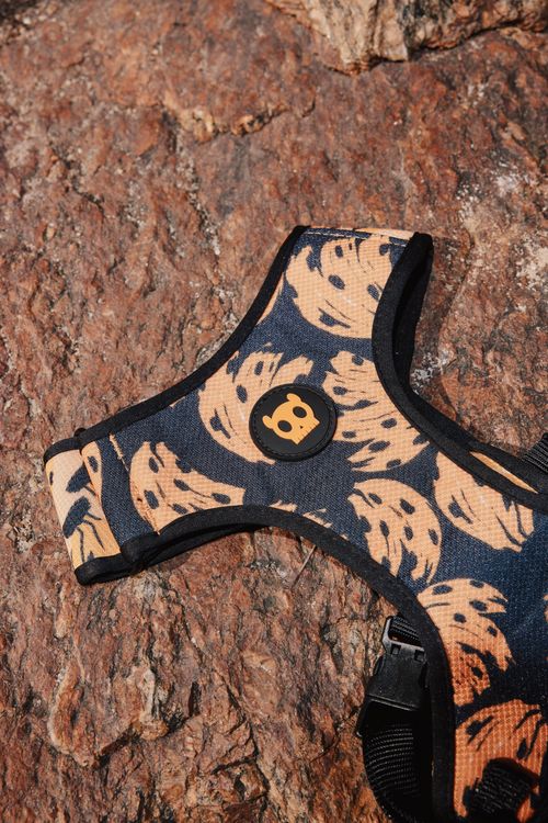 355277_7895_2-PEITORAL-AIRMESH-FARM-ZEEDOG-BANANAS