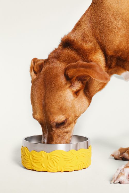 355284_7895_1-COMEDOURO-TUFF-BOWL-FARM-ZEEDOG-BANANAS