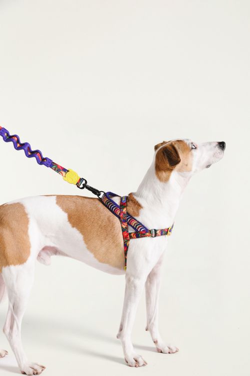 355292_49014_1-PEITORAL-SOFTWALKER-FARM-ZEEDOG-MIX