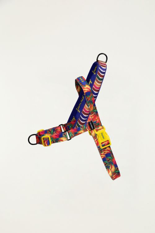 355292_49014_2-PEITORAL-SOFTWALKER-FARM-ZEEDOG-MIX