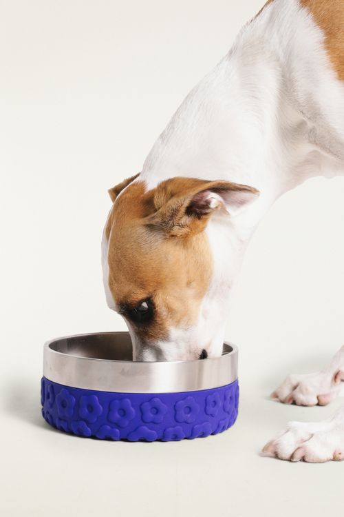355304_49014_1-COMEDOURO-TUFF-BOWL-FARM-ZEEDOG-MIX