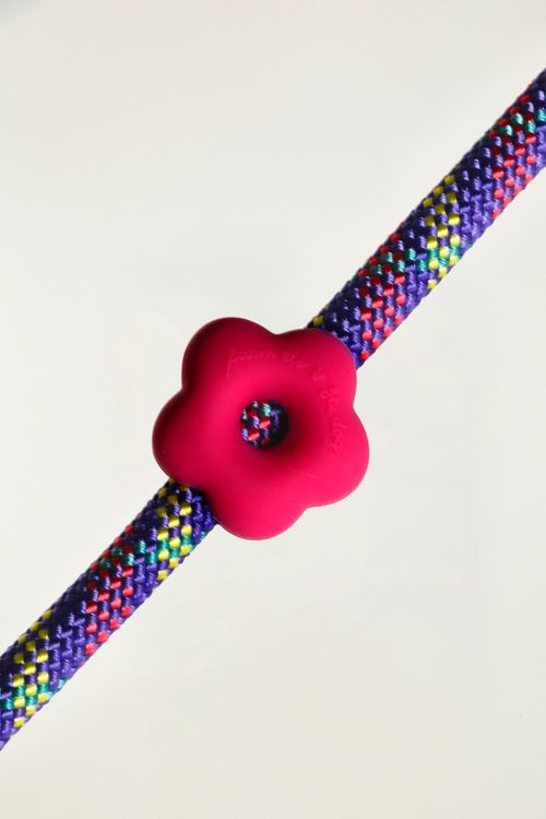 355306_49014_2-PINZ-FLOR-FARM-ZEEDOG-ROSA