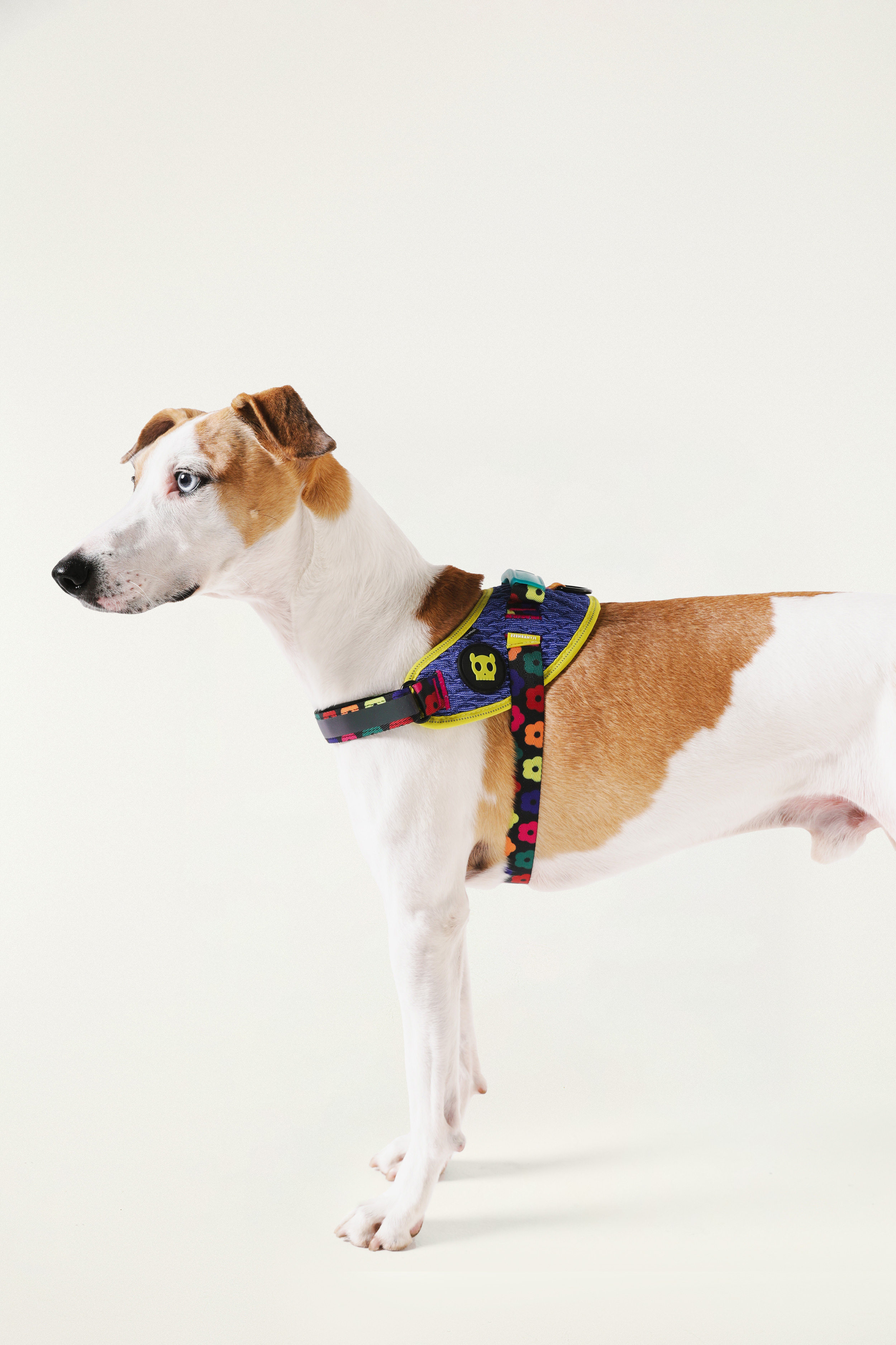 Peitoral Flyharness Farm Zee Dog Samba