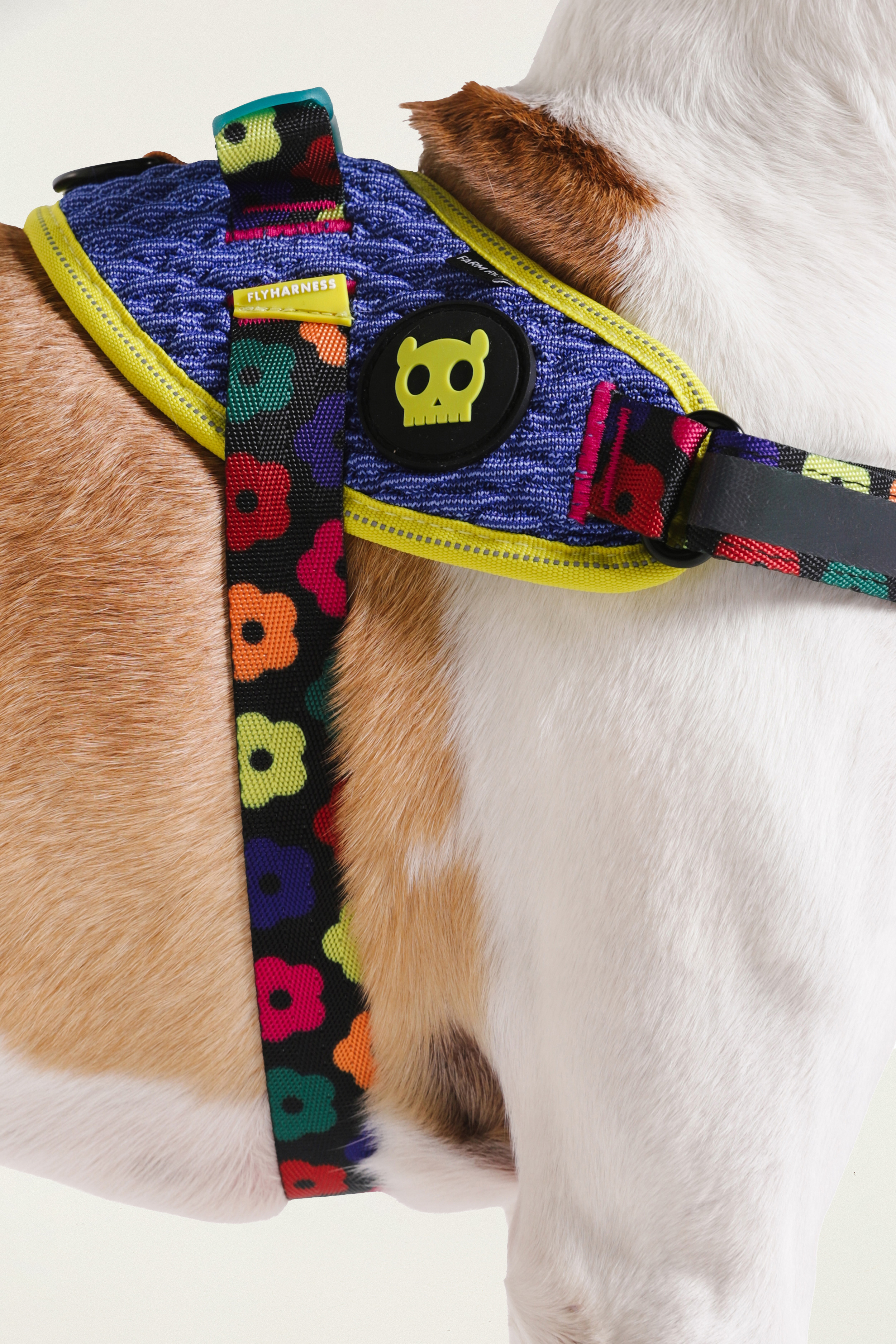 355296_49014_6-PEITORAL-FLYHARNESS-FARM-ZEEDOG-MIX