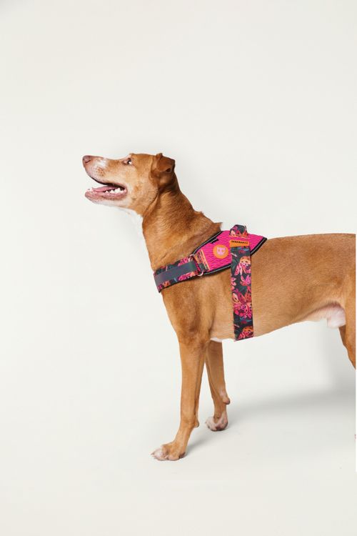 355320_10767_5-PEITORAL-FLYHARNESS-FARM-ZEEDOG-ONCA