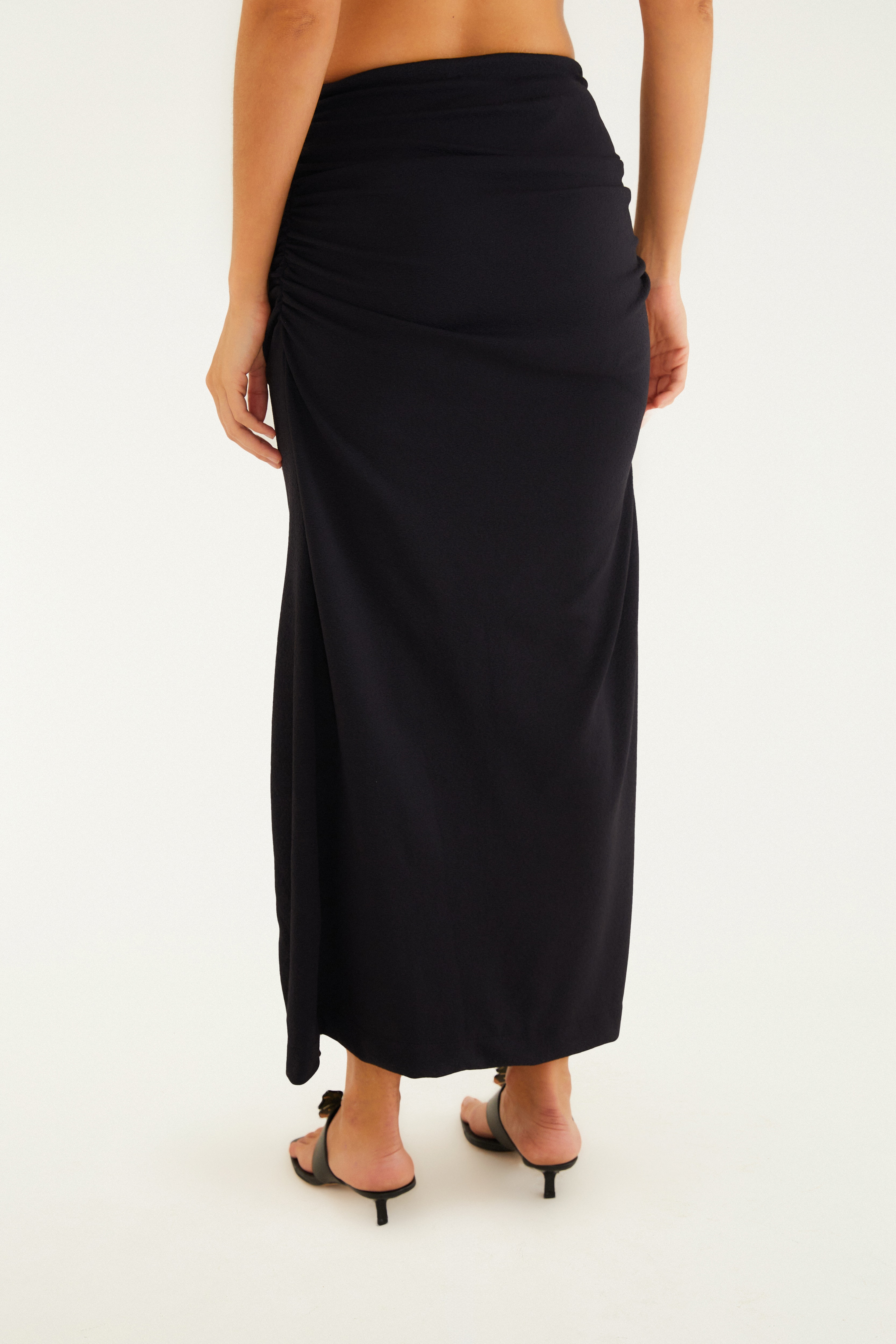Saia Cropped