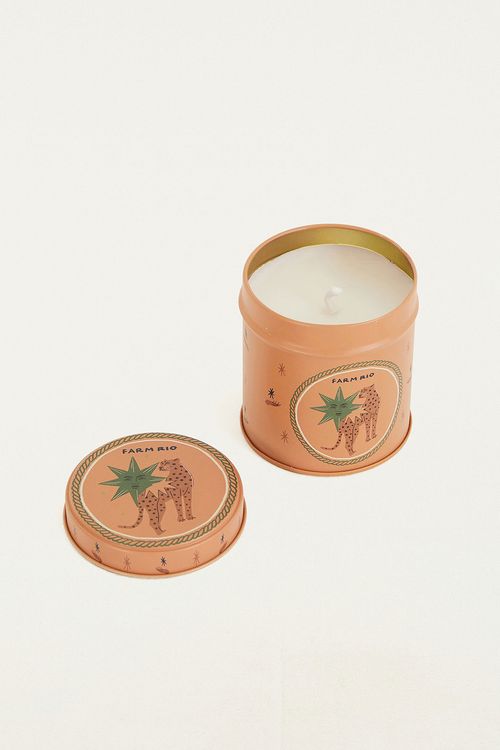 353804_42249_2-VELA-SELOS-MISTICO-ONCA