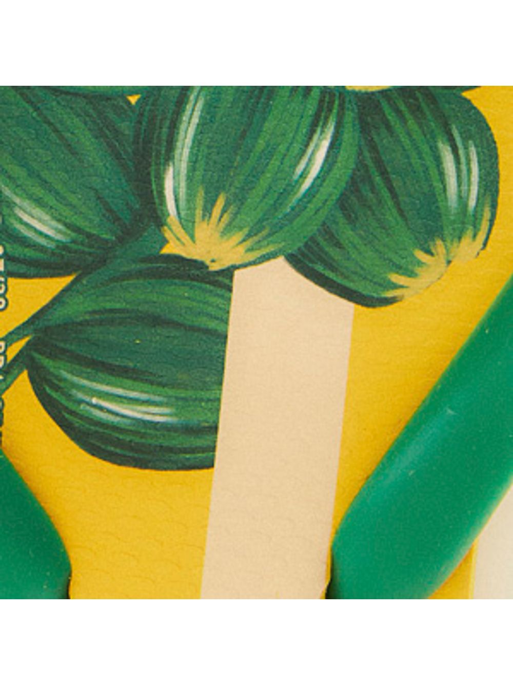 Farm — Havaianas Rj