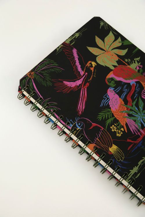 356994_54869_2-CADERNO-UNIVERSITARIO-VOO-DESCOLADINHA