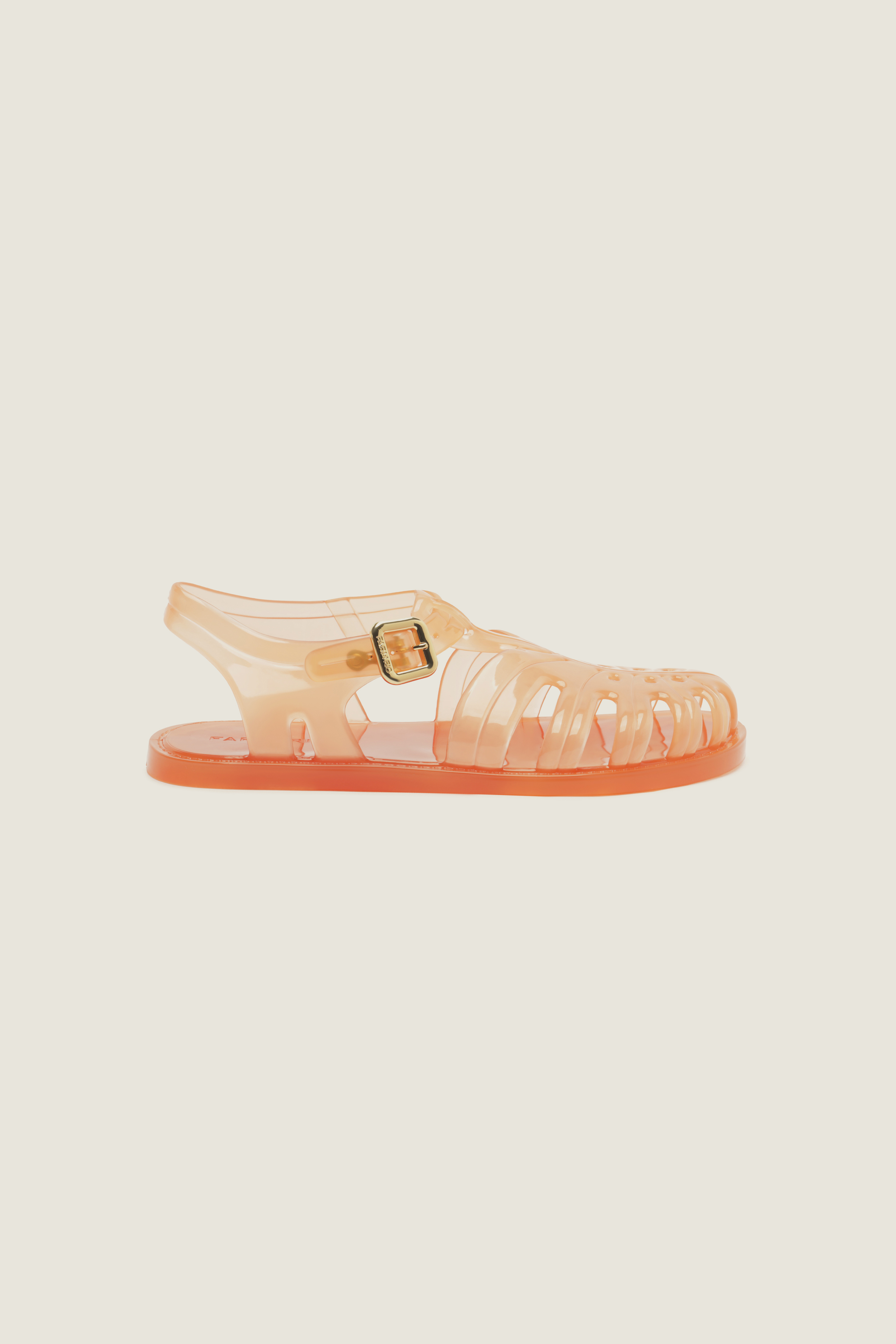 Jelly Fisherman Monstera