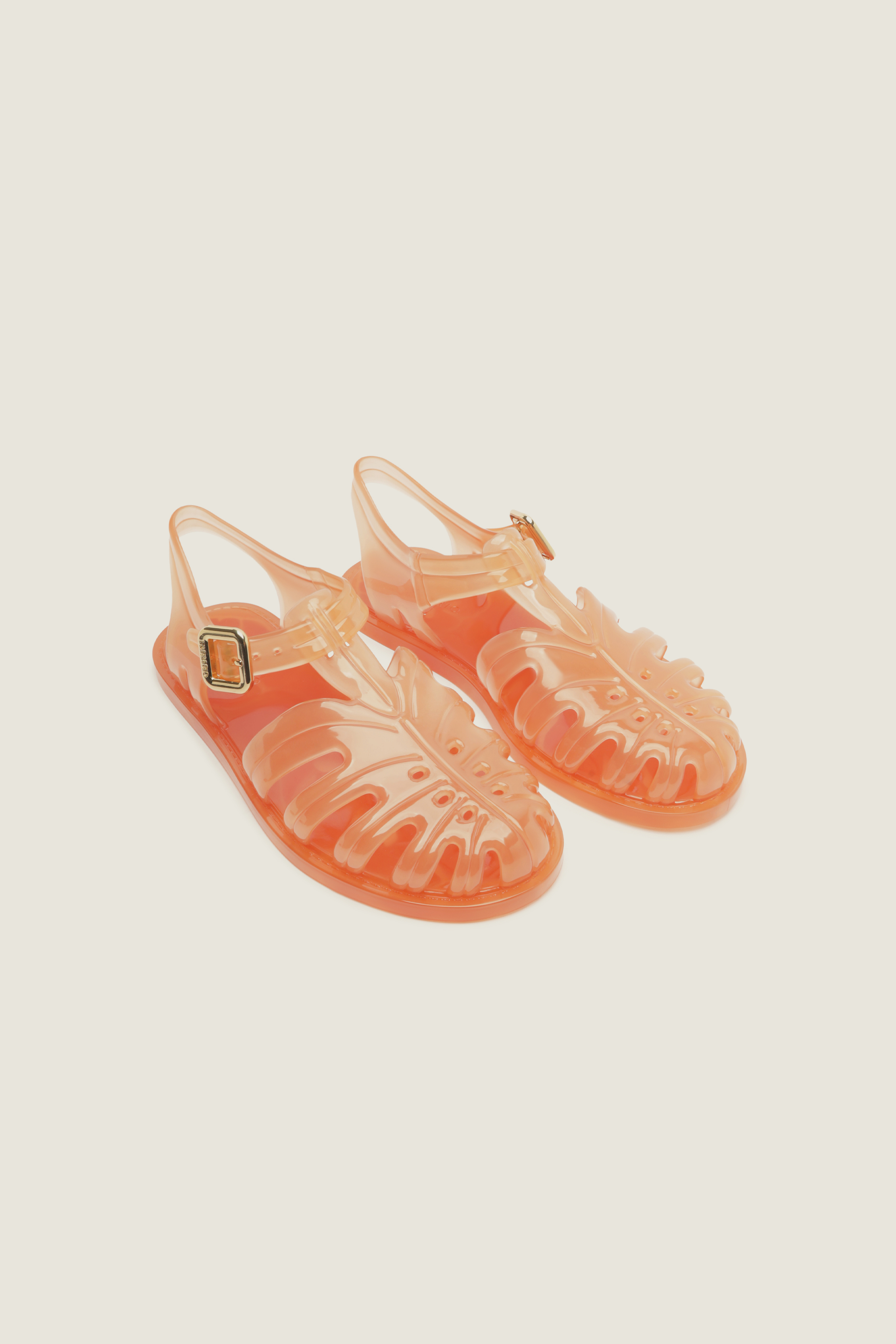 Jelly Fisherman Monstera