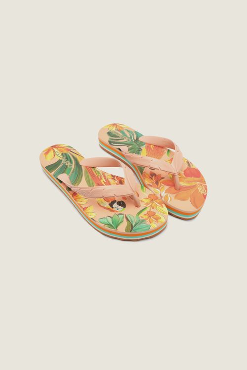 362785_53923_2-CHINELO-RAINBOW