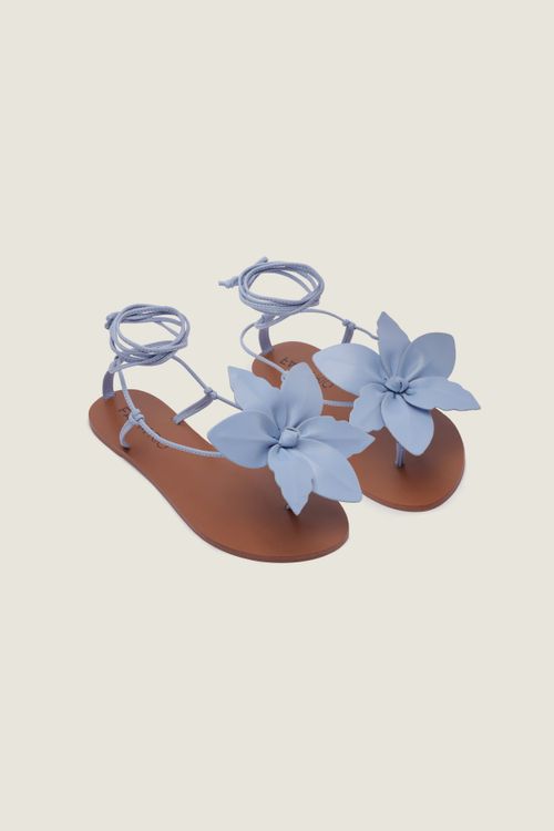 362818_11098_2-RASTEIRA-LIRIO-AMARRACAO