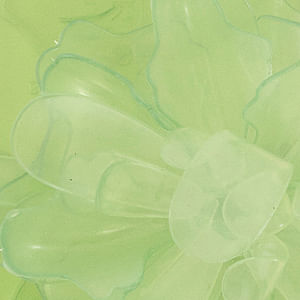 362805_10083_10-RASTEIRA-JELLY-SLIM-HIBISCO