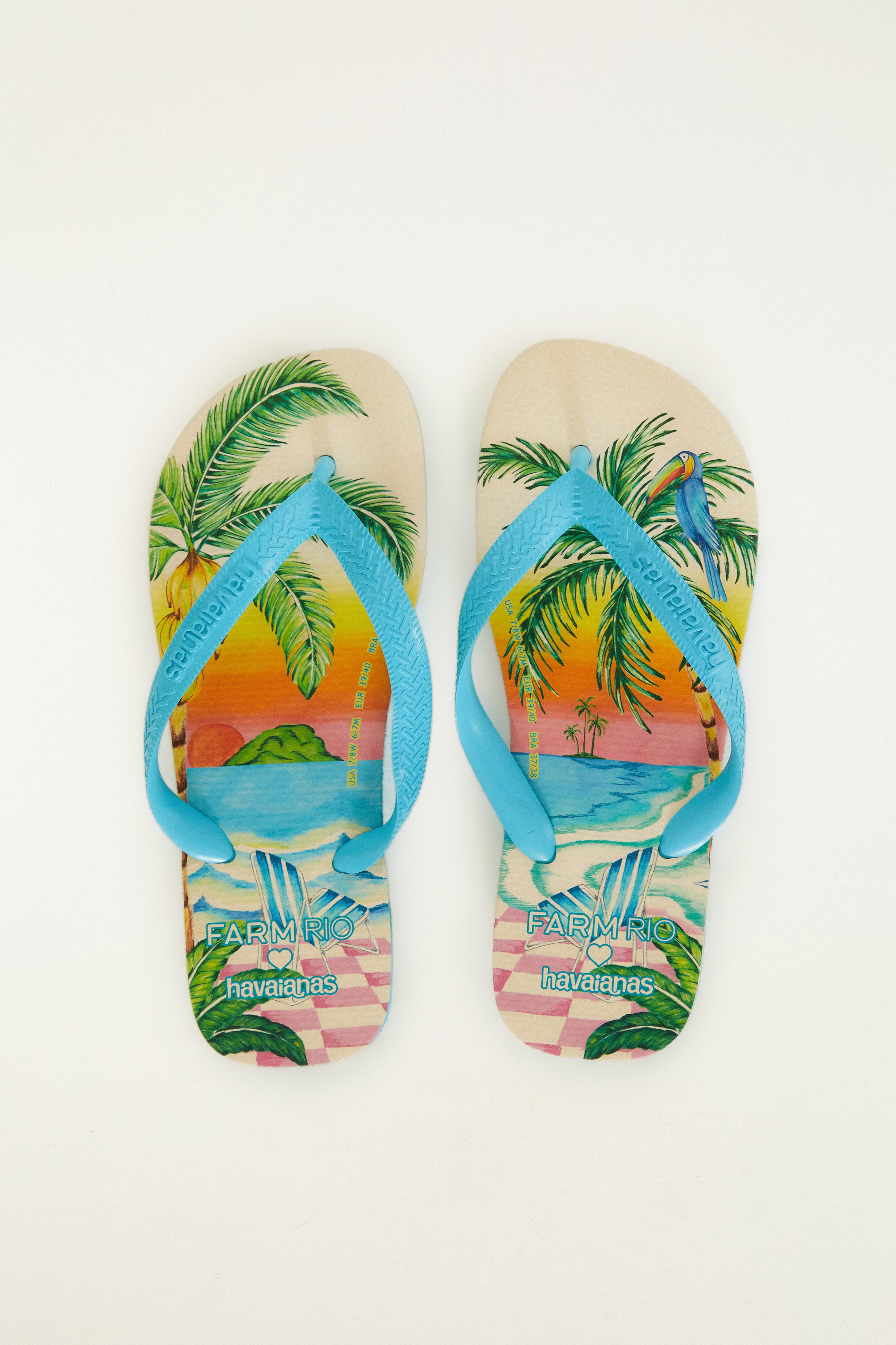 Havaianas Paisagem Solar