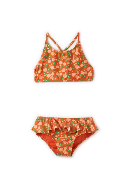 520162_53758_1-BIQUINI-FRUTILLAS