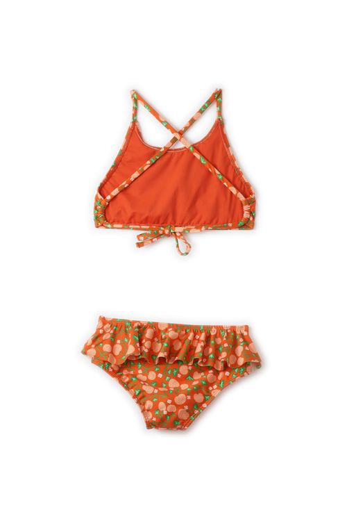 520162_53758_2-BIQUINI-FRUTILLAS