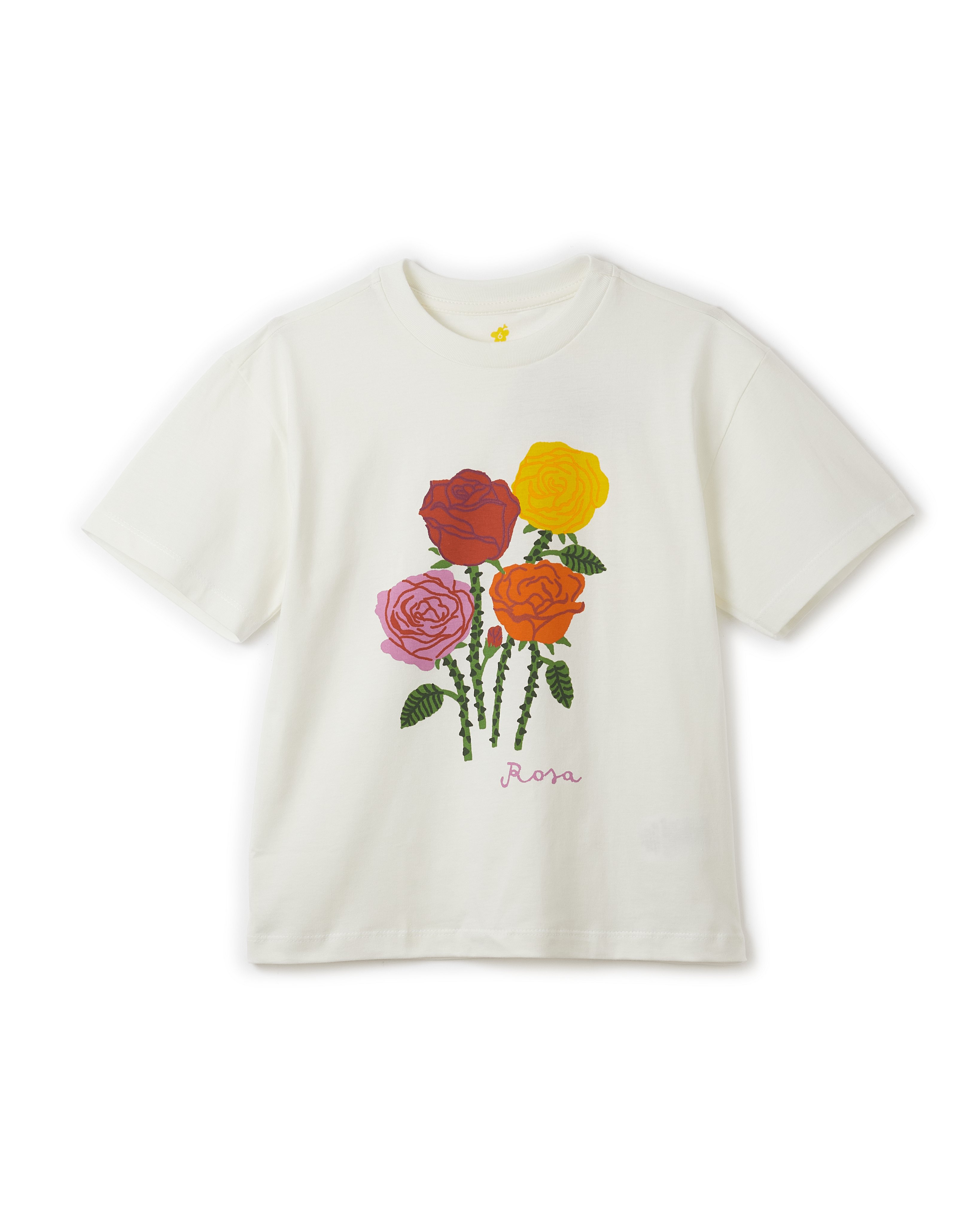 Blusa Silk Rosas