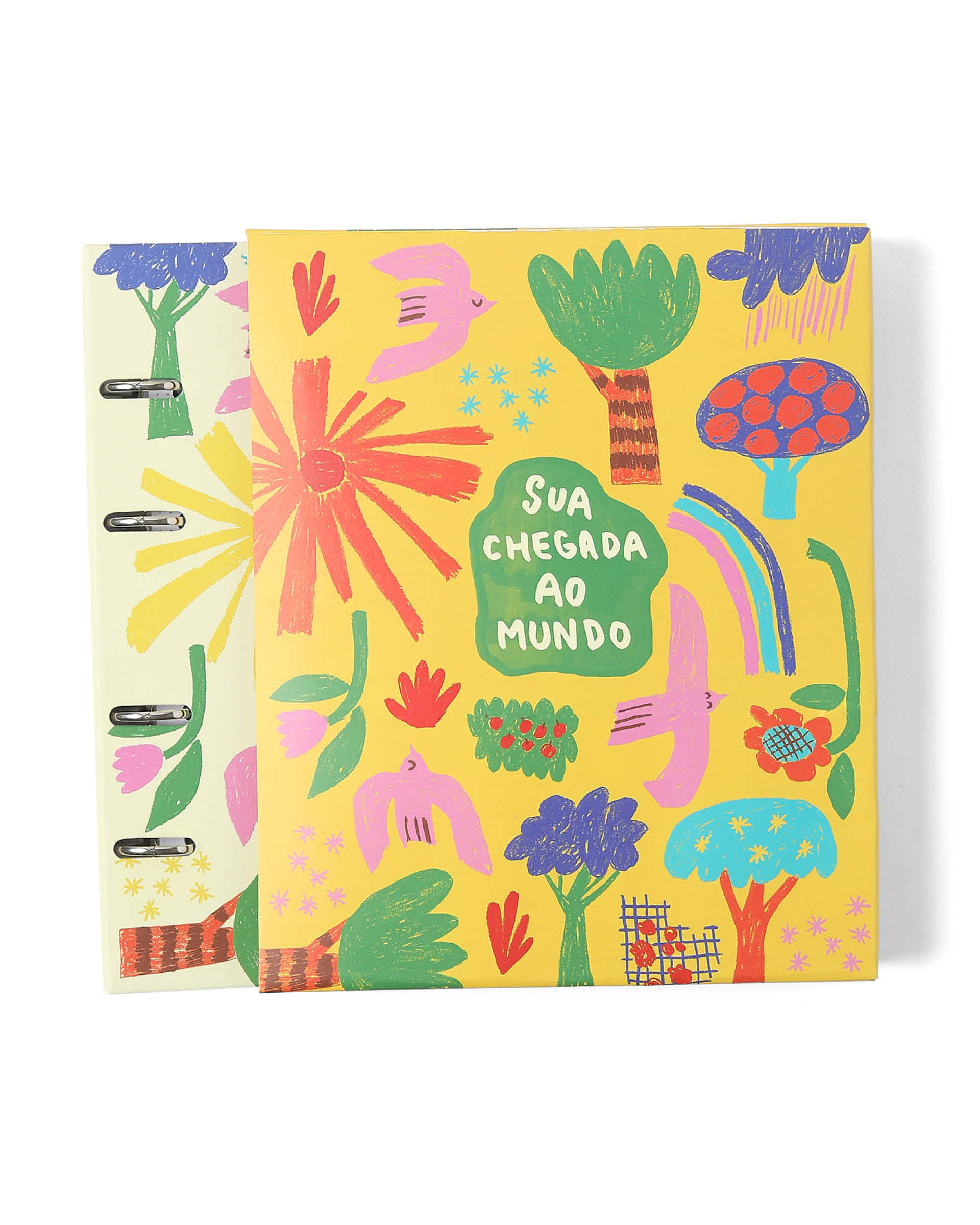 Livro Album Bebe Alegrinha