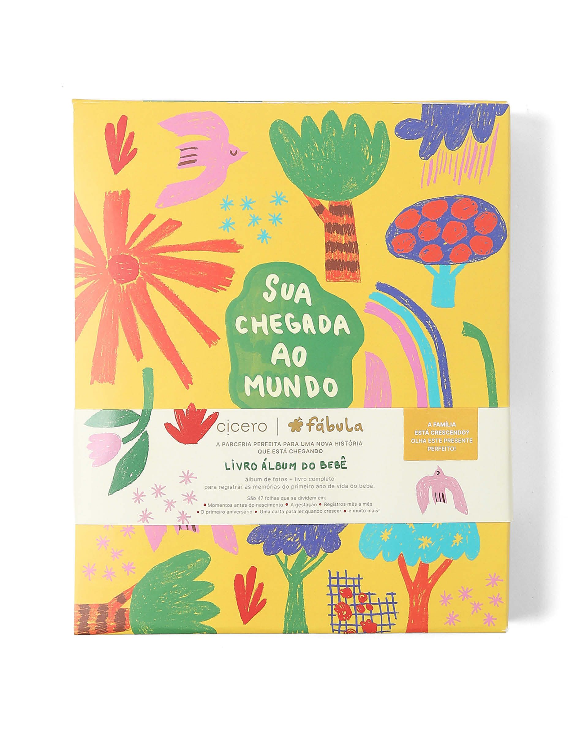 Livro Album Bebe Alegrinha
