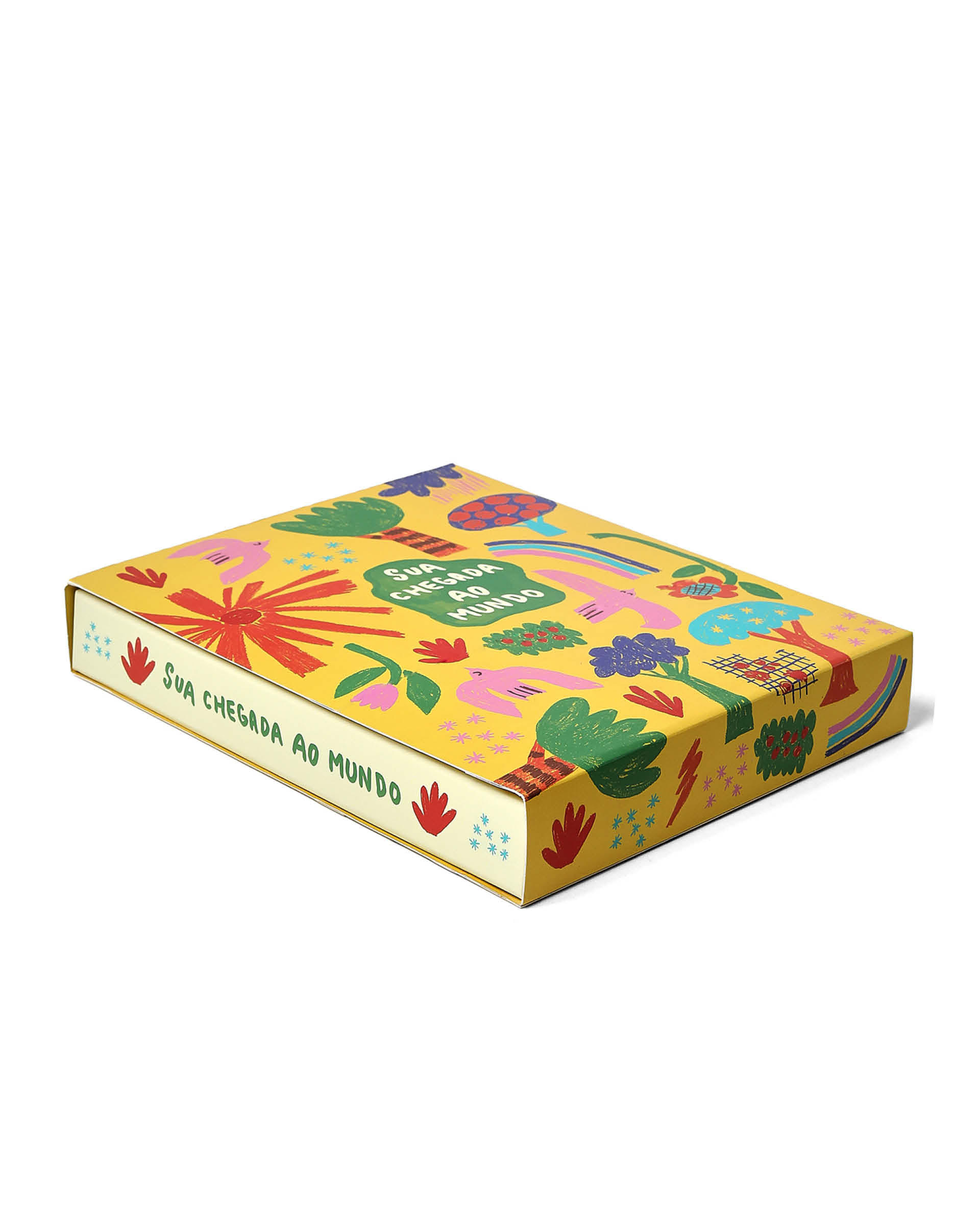 Livro Album Bebe Alegrinha