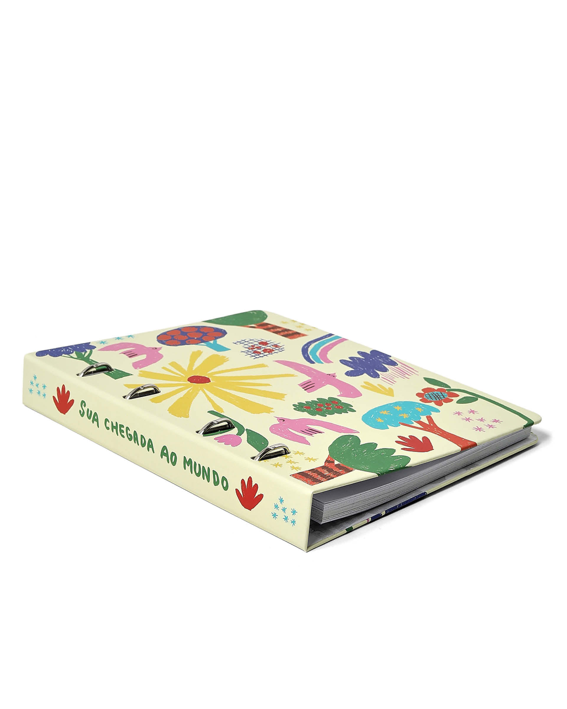 Livro Album Bebe Alegrinha