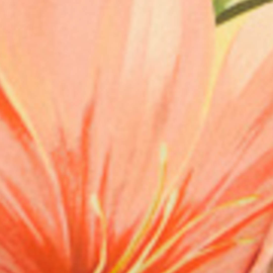 358694_56373_10-MAIO-LOCALIZADO-FLORIBEL