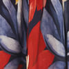 370700_58920_10-SAIA-CROPPED-CHITA-PINTADA-E