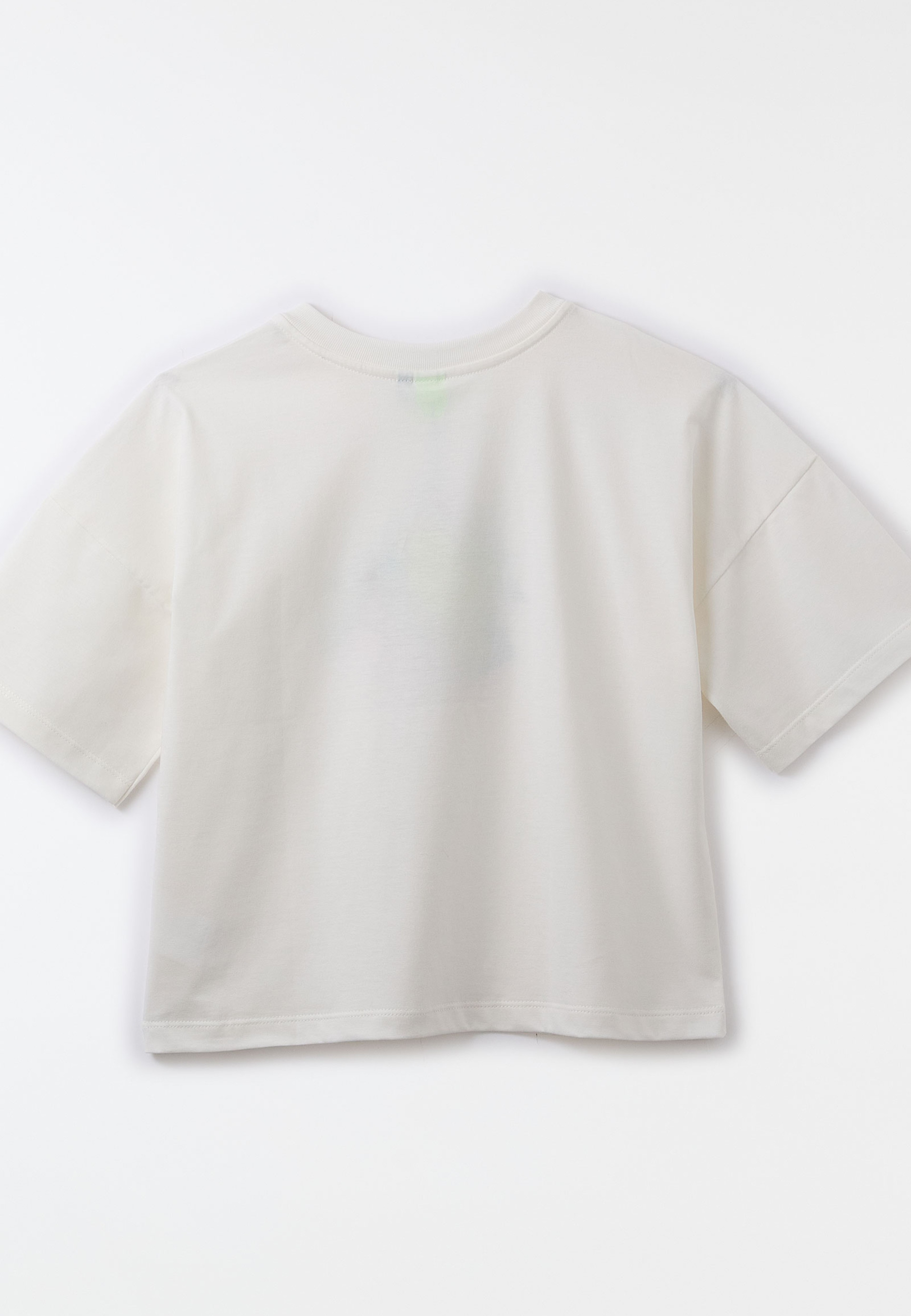 Camiseta Silk Encanto Das Araras