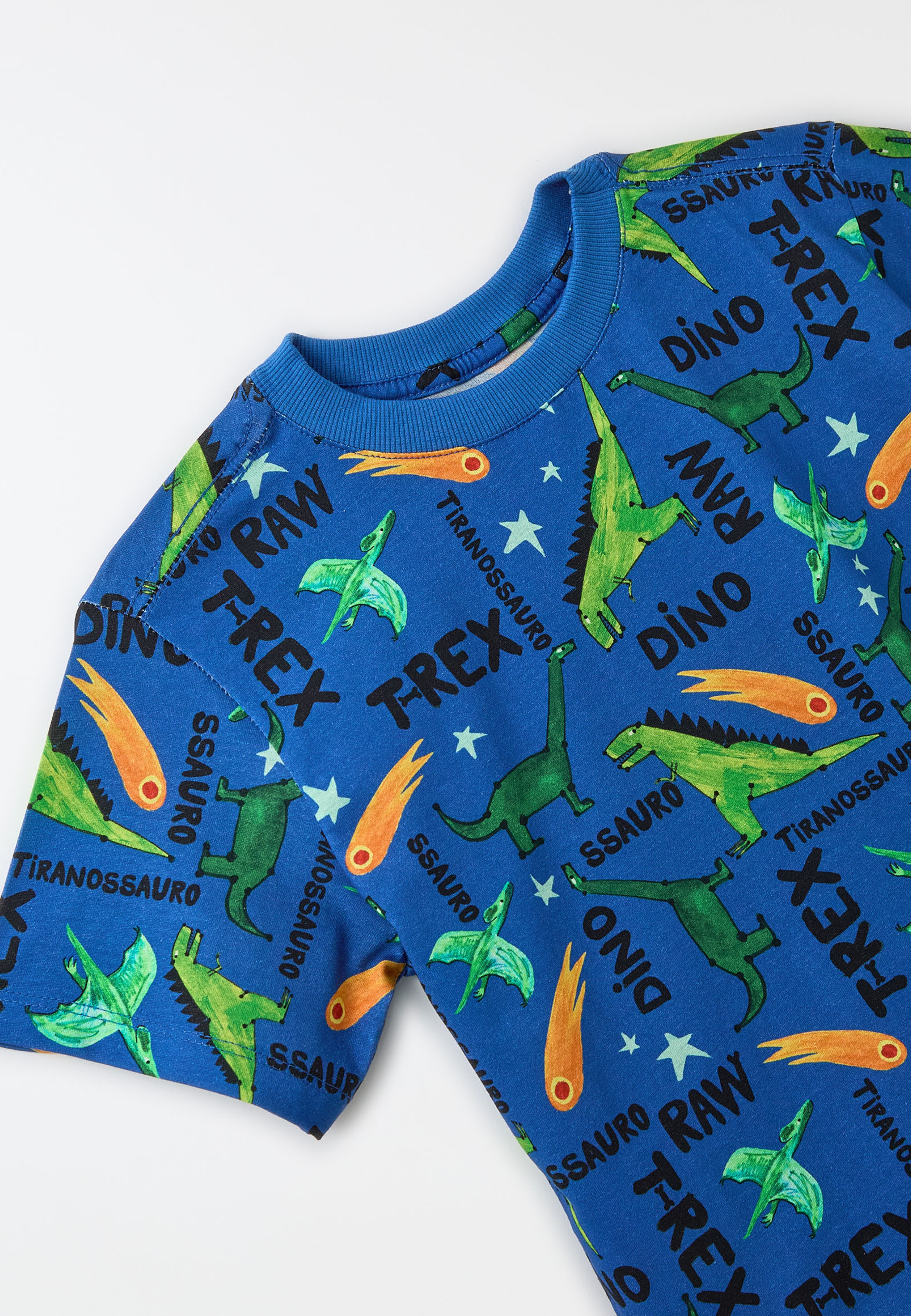 Camiseta Malha Dinos