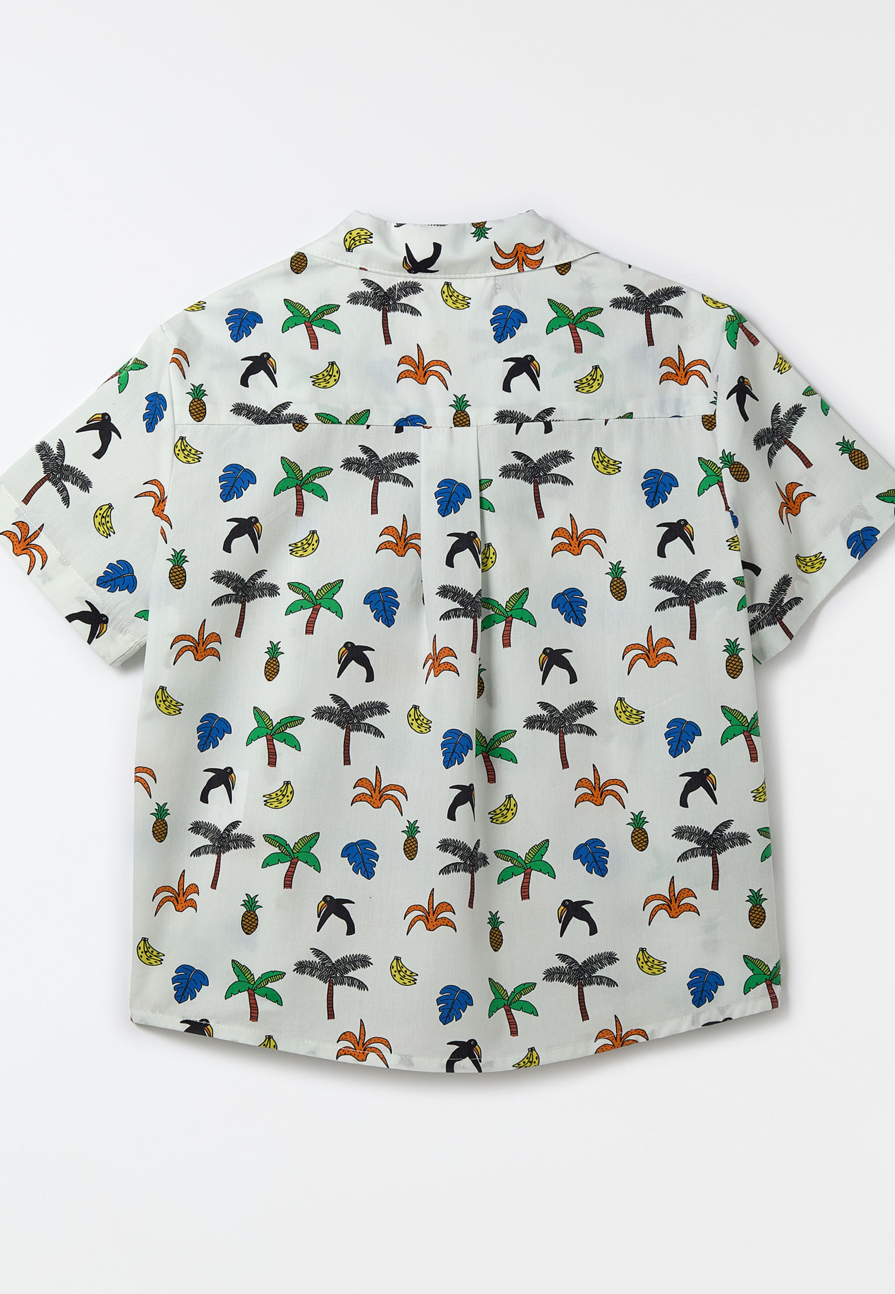 Camisa Ben