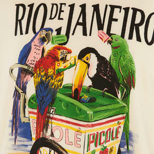 369926_07546_10-TSHIRT-MEDIA-PASSAROS-COM-PICOLE