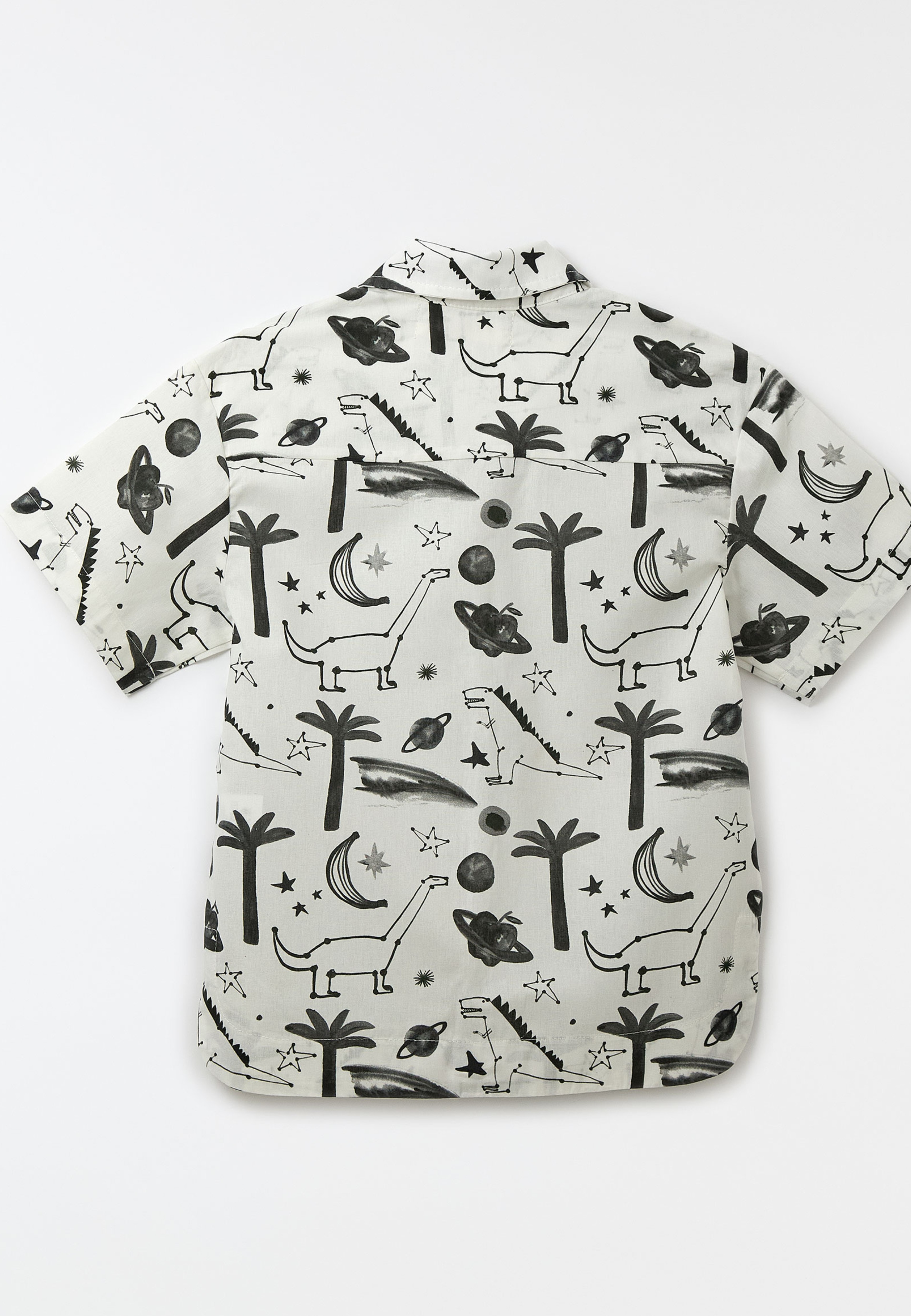 Camisa Noite Do Dino Pb