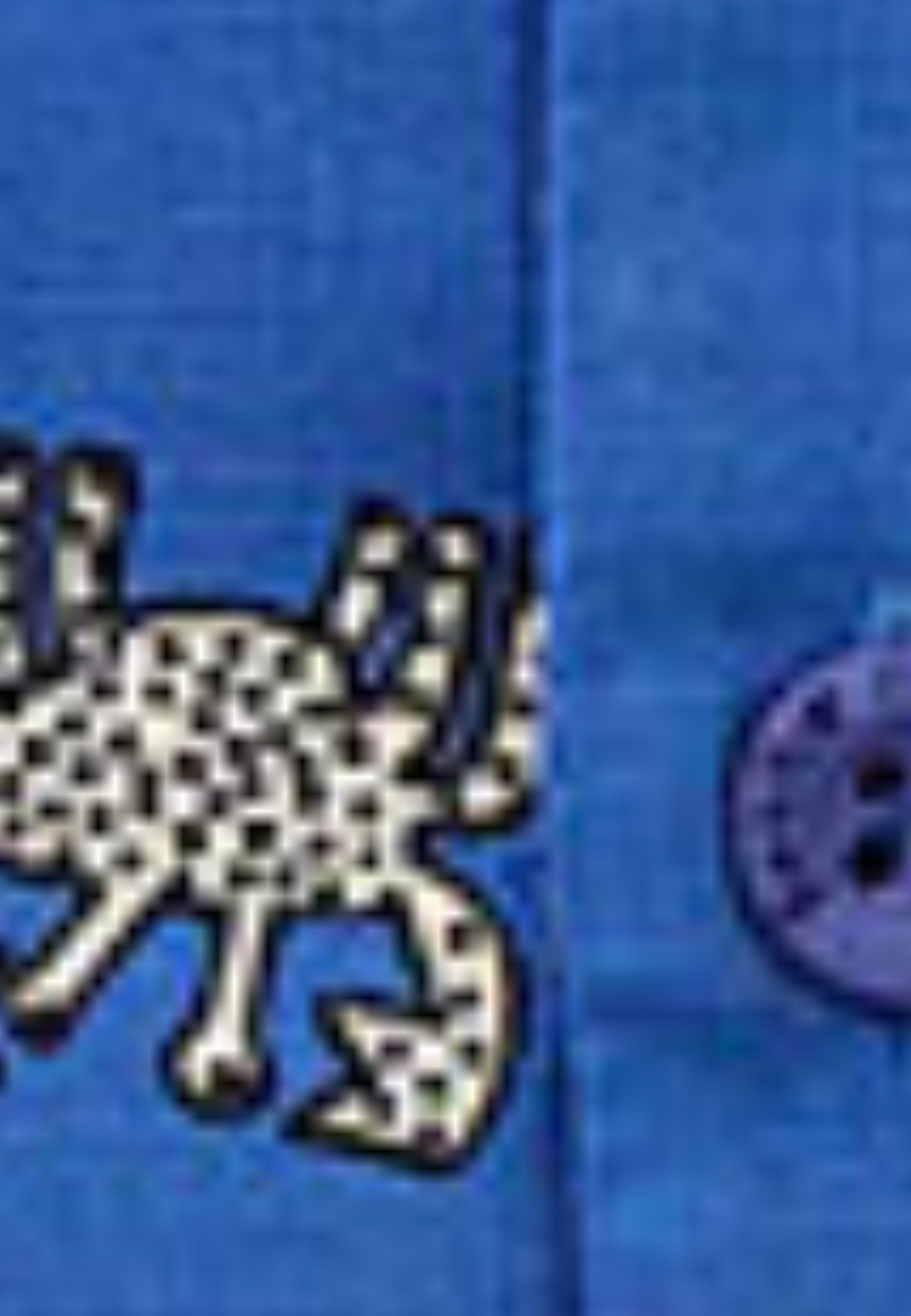 521622_57050_10-CAMISA-SIRIZITO