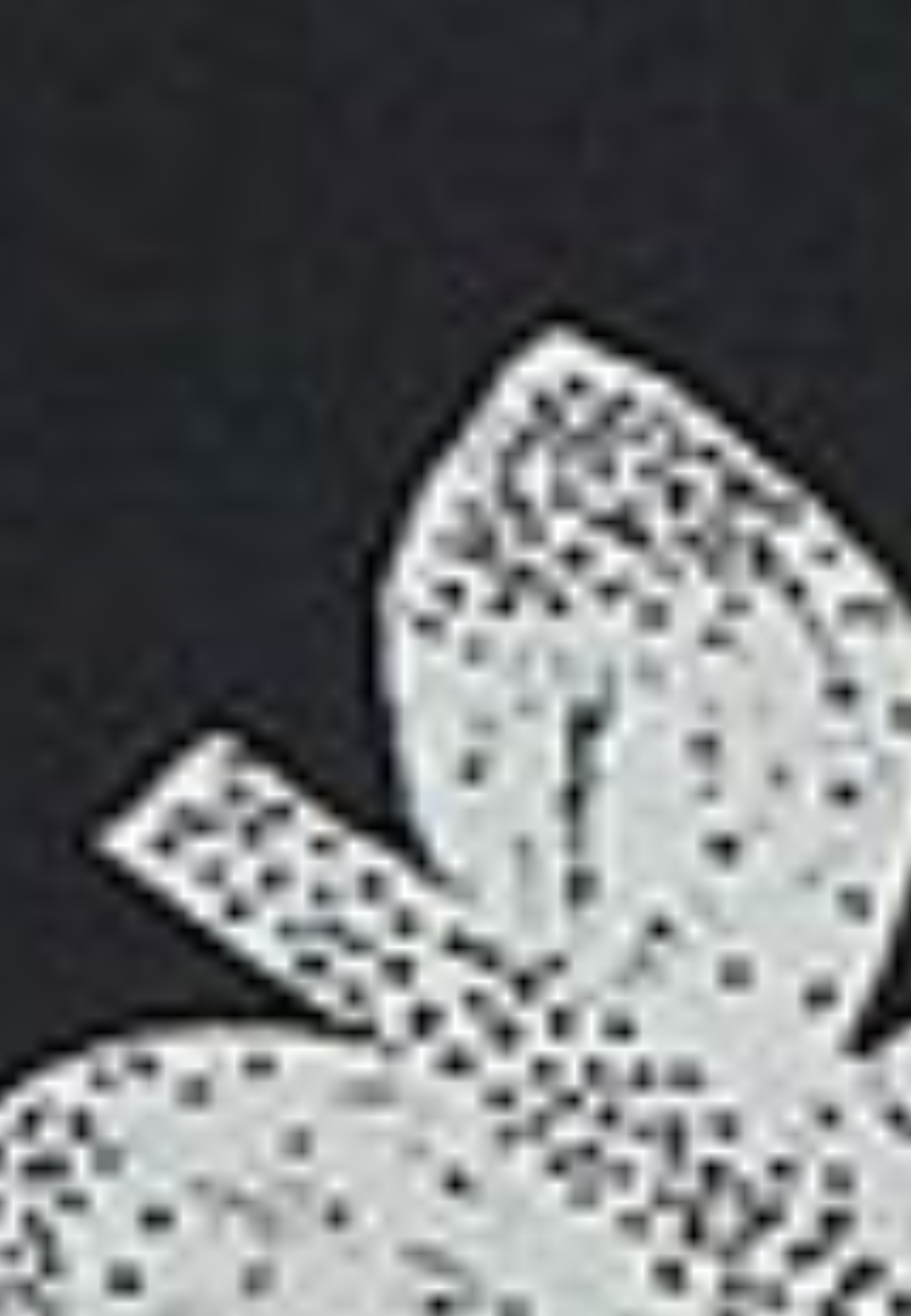 521809_57189_10-MAIO-VOA-VOA