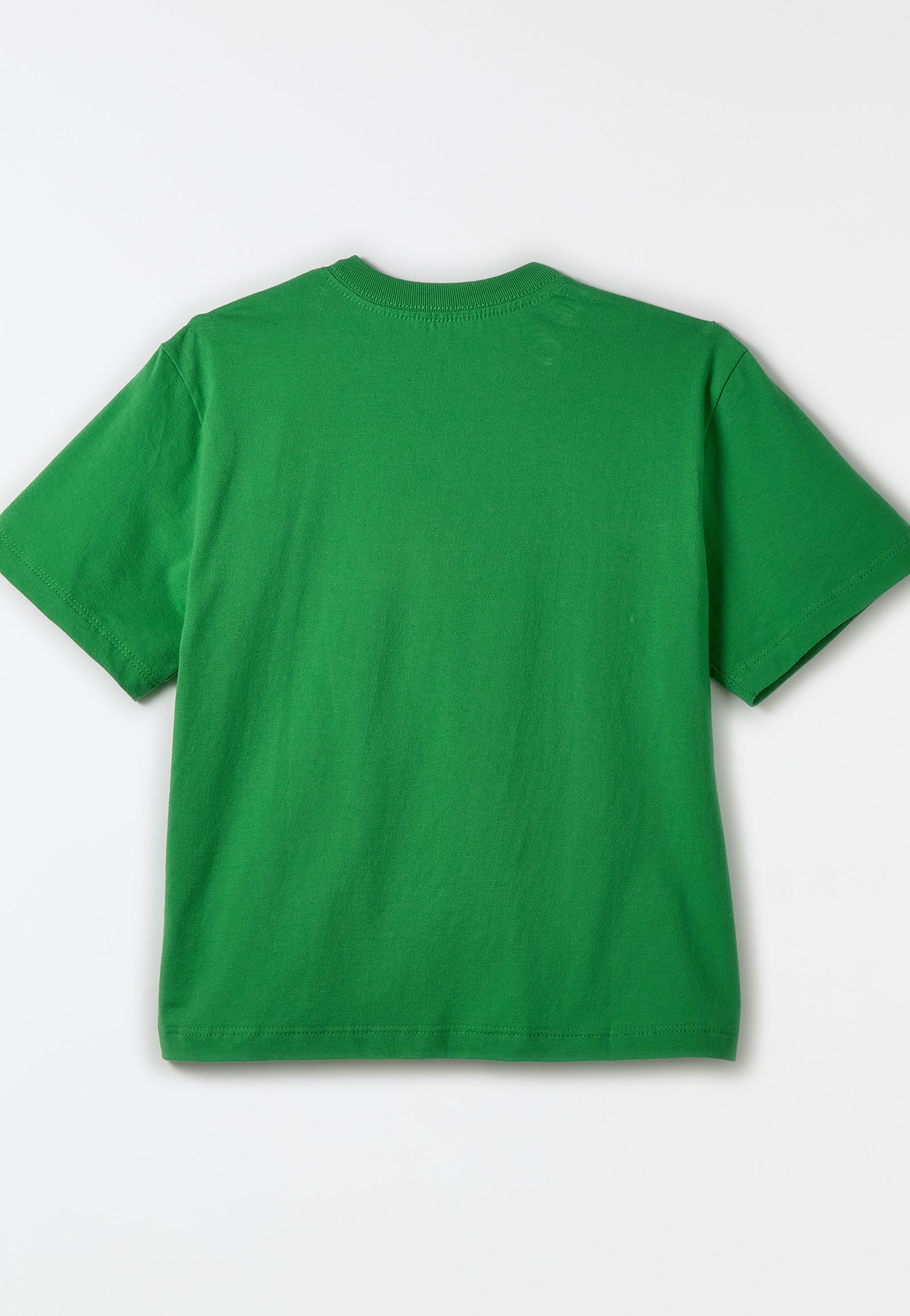 Camiseta Silk Noite Dos Dinos