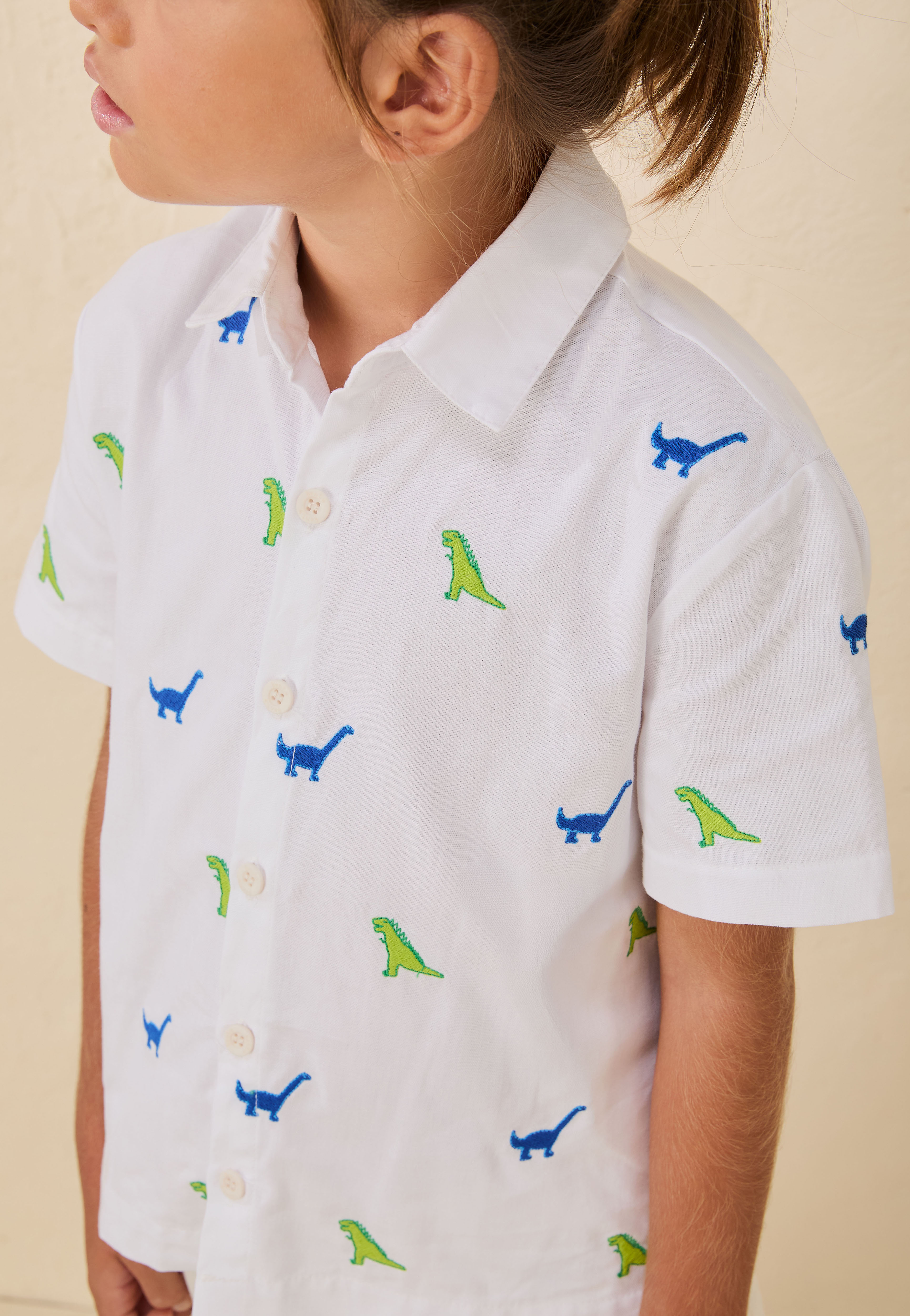 Camisa Bordada